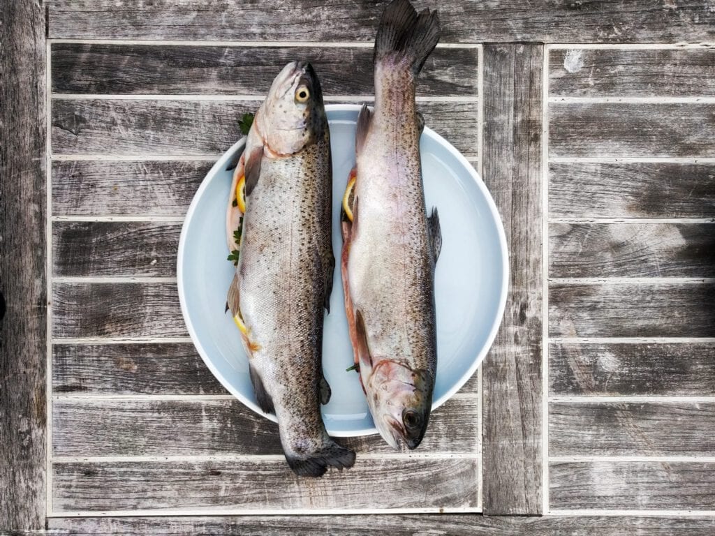 Vitamin D finnes i fete fiskeslag